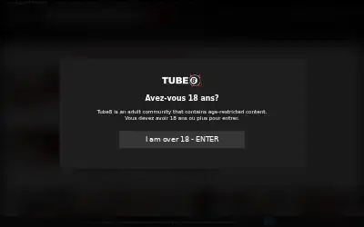 tube8.fr in 2023