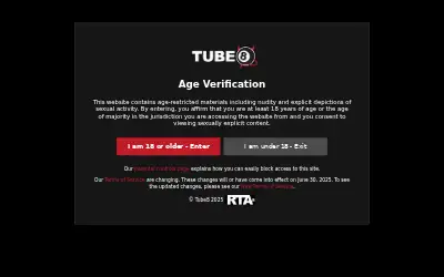 tube8.fr in 2025
