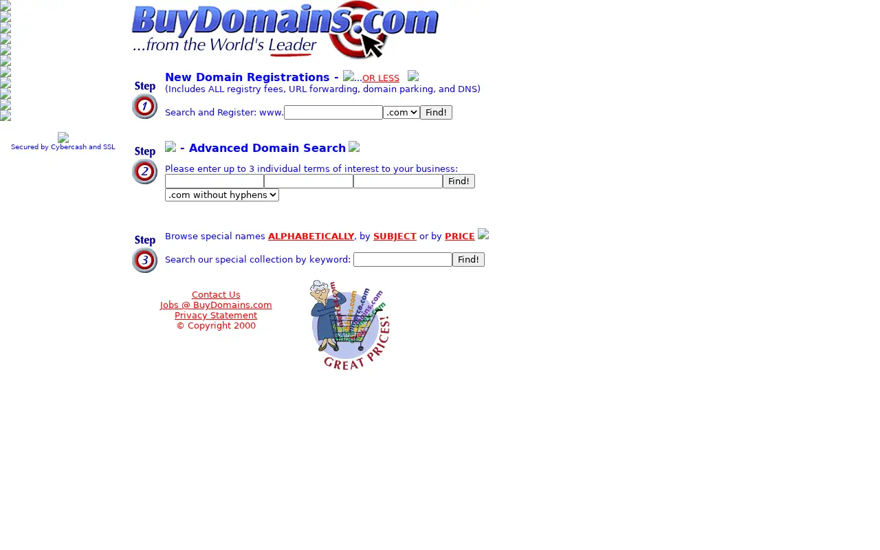 buydomains.com in 2000
