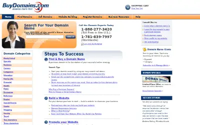 buydomains.com in 2008