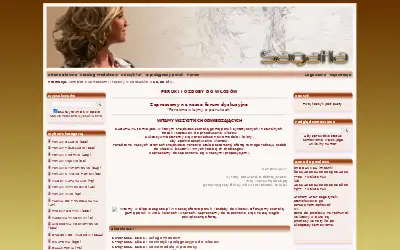 sagatia.pl in 2011