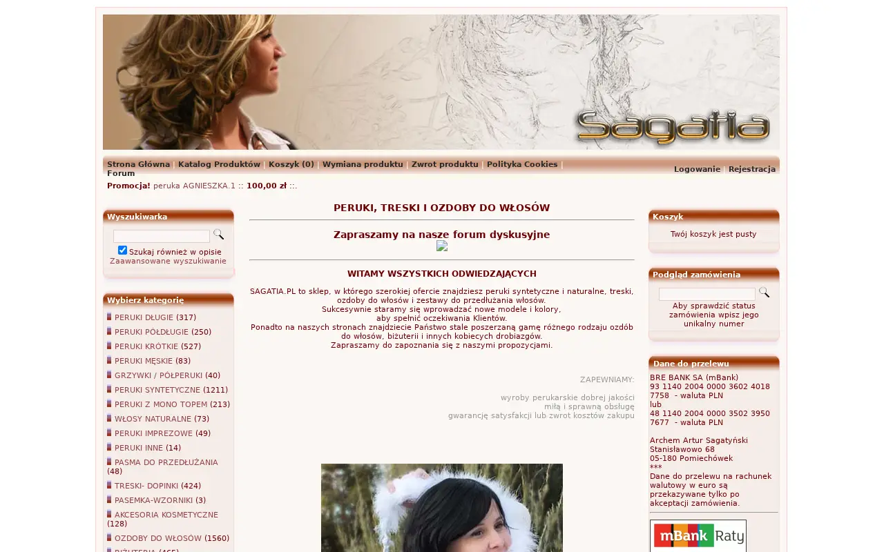 sagatia.pl in 2013