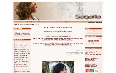 sagatia.pl in 2013