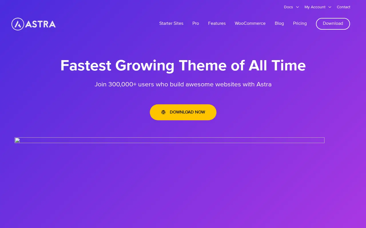 wpastra.com in 2019