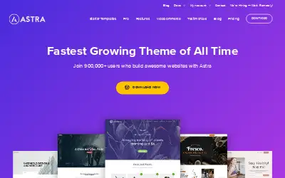 wpastra.com in 2020