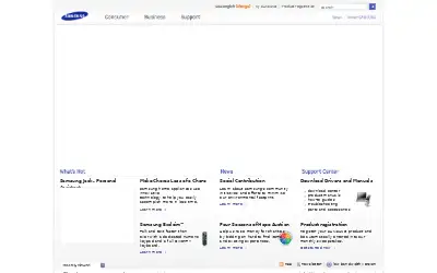 samsung.com in 2009