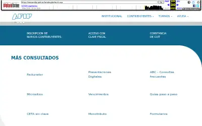 afip.gob.ar in 2022