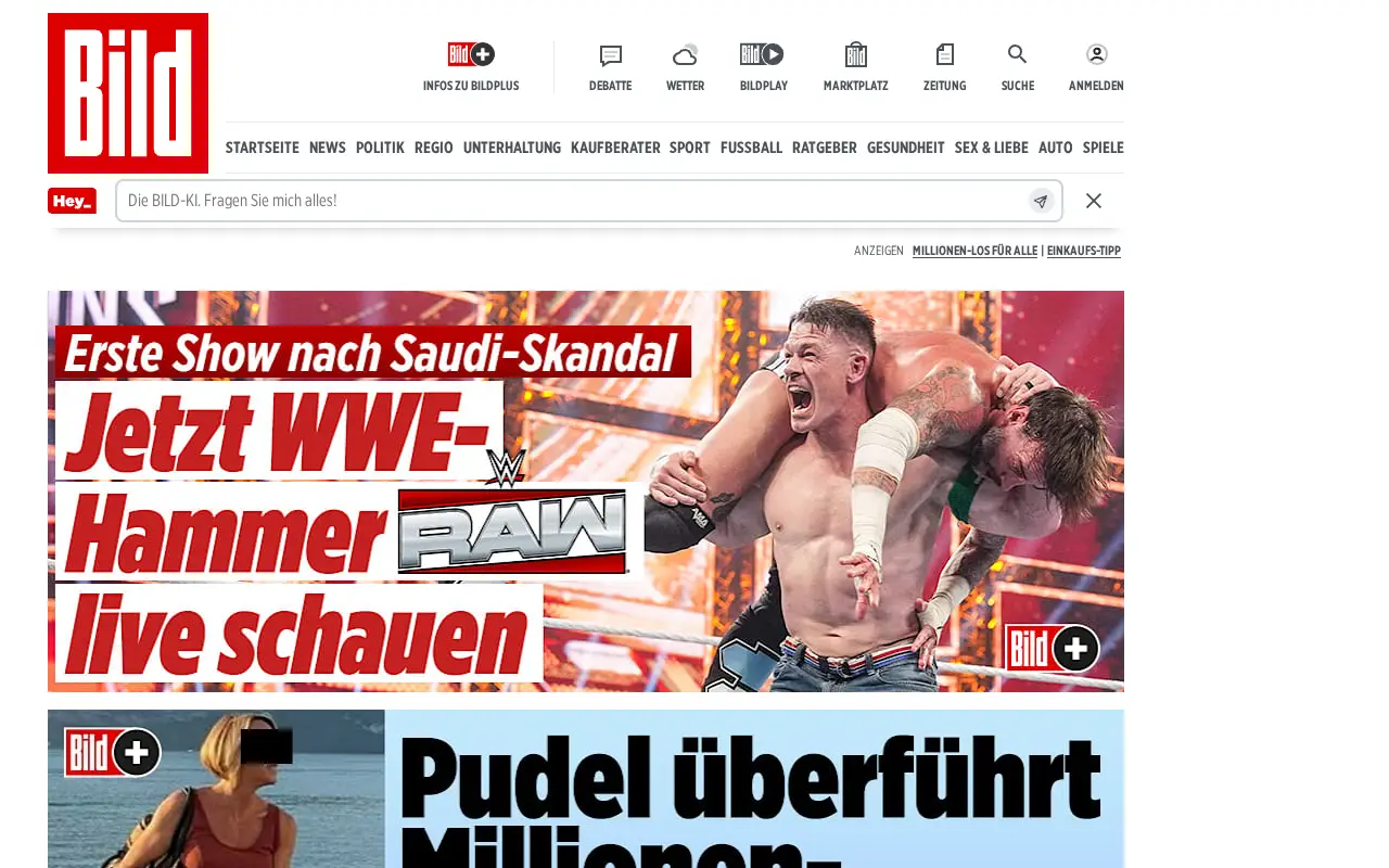 bild.de in 2025