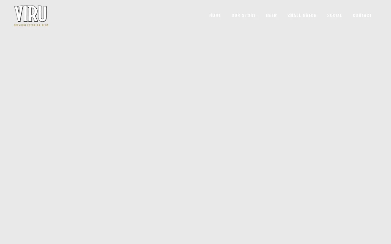 virubeer.com in 2024