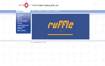 vivoglobal.com in 2010