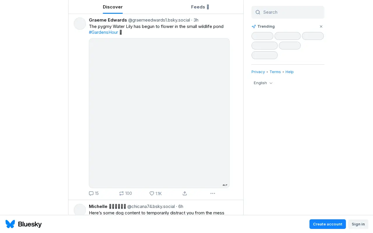 bsky.app in 2025