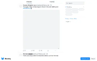 bsky.app in 2025