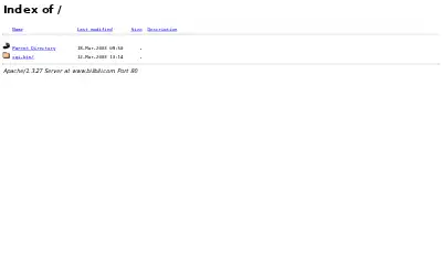 bilibili.com in 2003