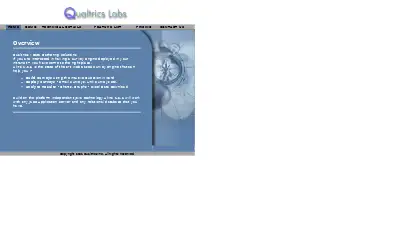 qualtrics.com in 2002