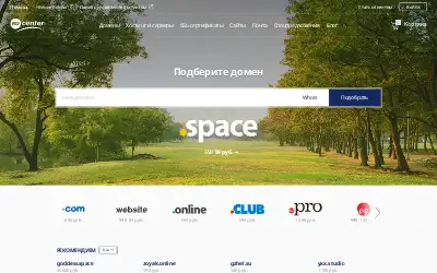nic.ru in 2020