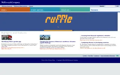mckinsey.com in 2009