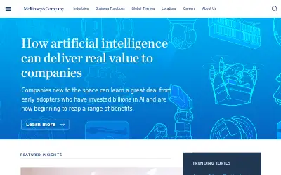 mckinsey.com in 2017