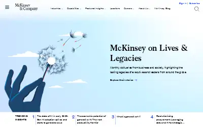 mckinsey.com in 2024