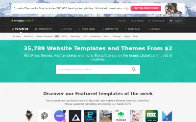 themeforest.net in 2017