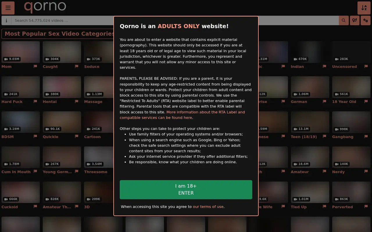 qorno.com in 2022