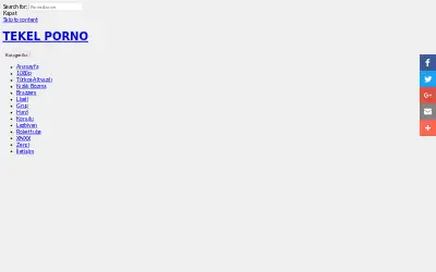 pussyboy.net in 2017