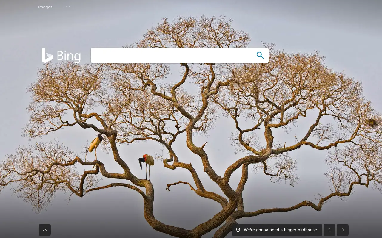 bing.com in 2020