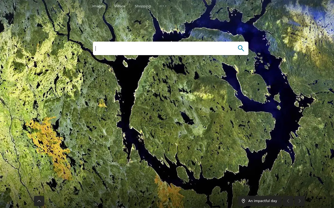 bing.com in 2021