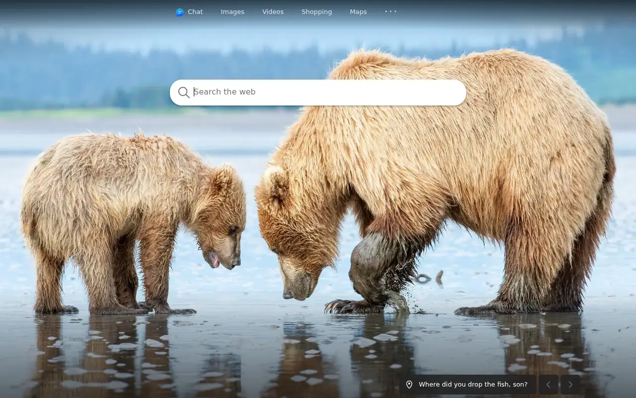 bing.com in 2023