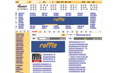 sina.com.cn in 2009