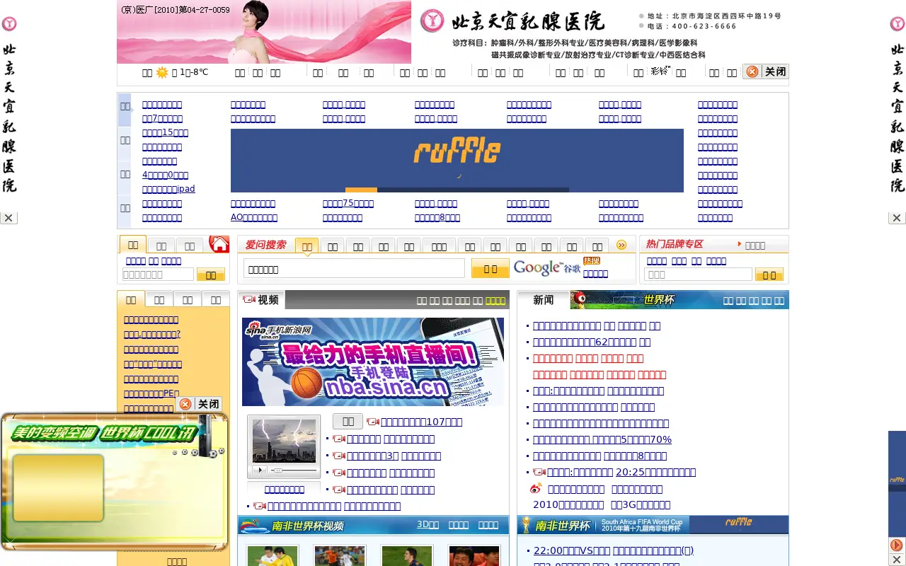 sina.com.cn in 2010