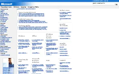 microsoft.com in 2004