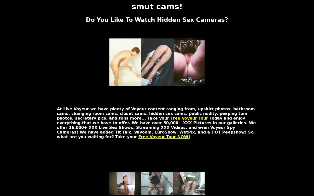 smutcams.com in 2004