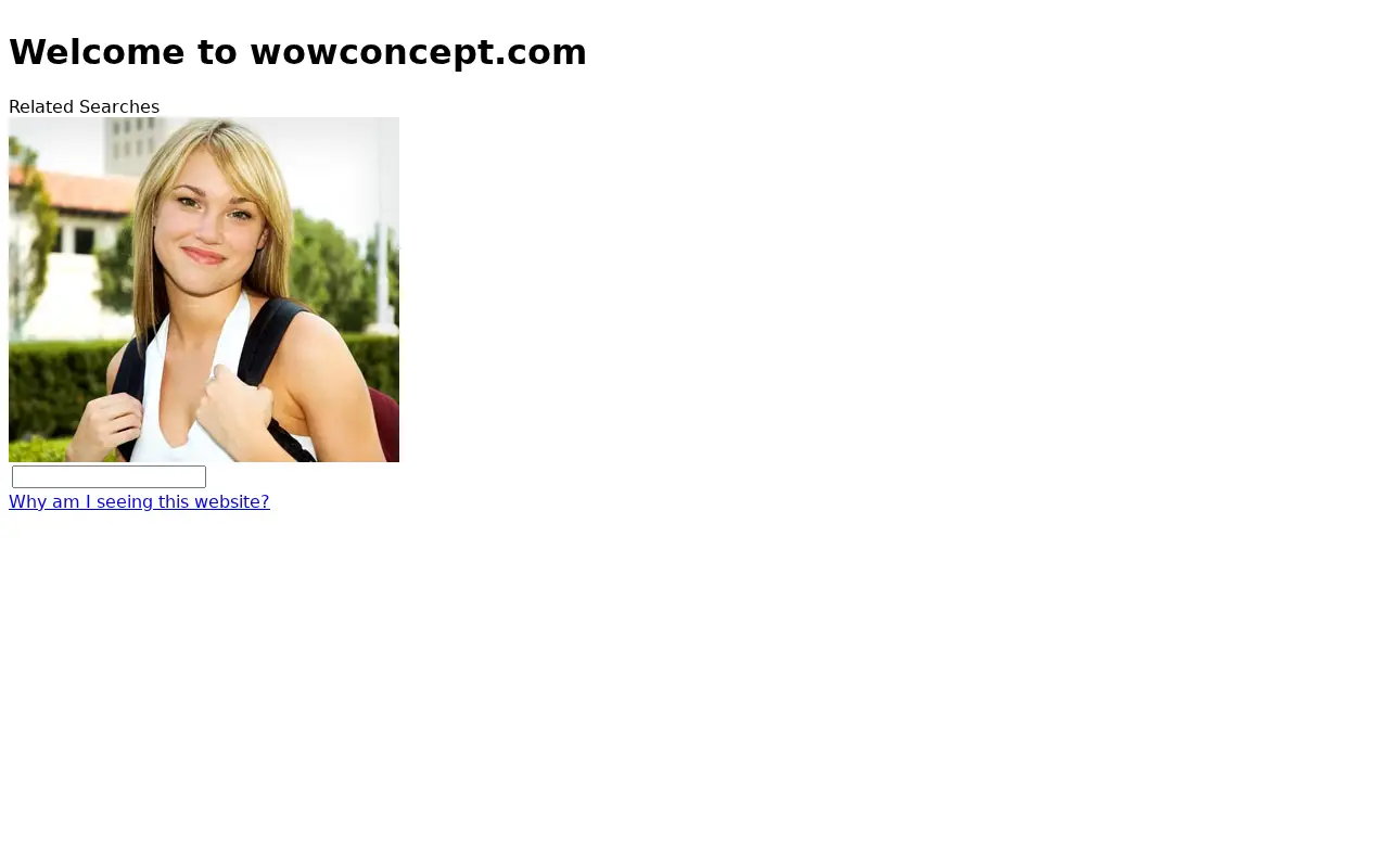 wowconcept.com in 2010