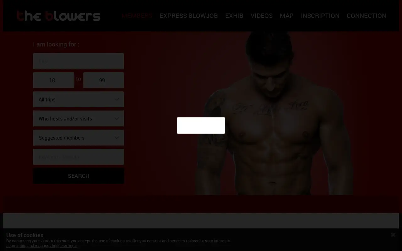 theblowers.com in 2020
