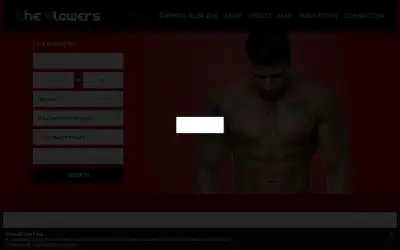 theblowers.com in 2020