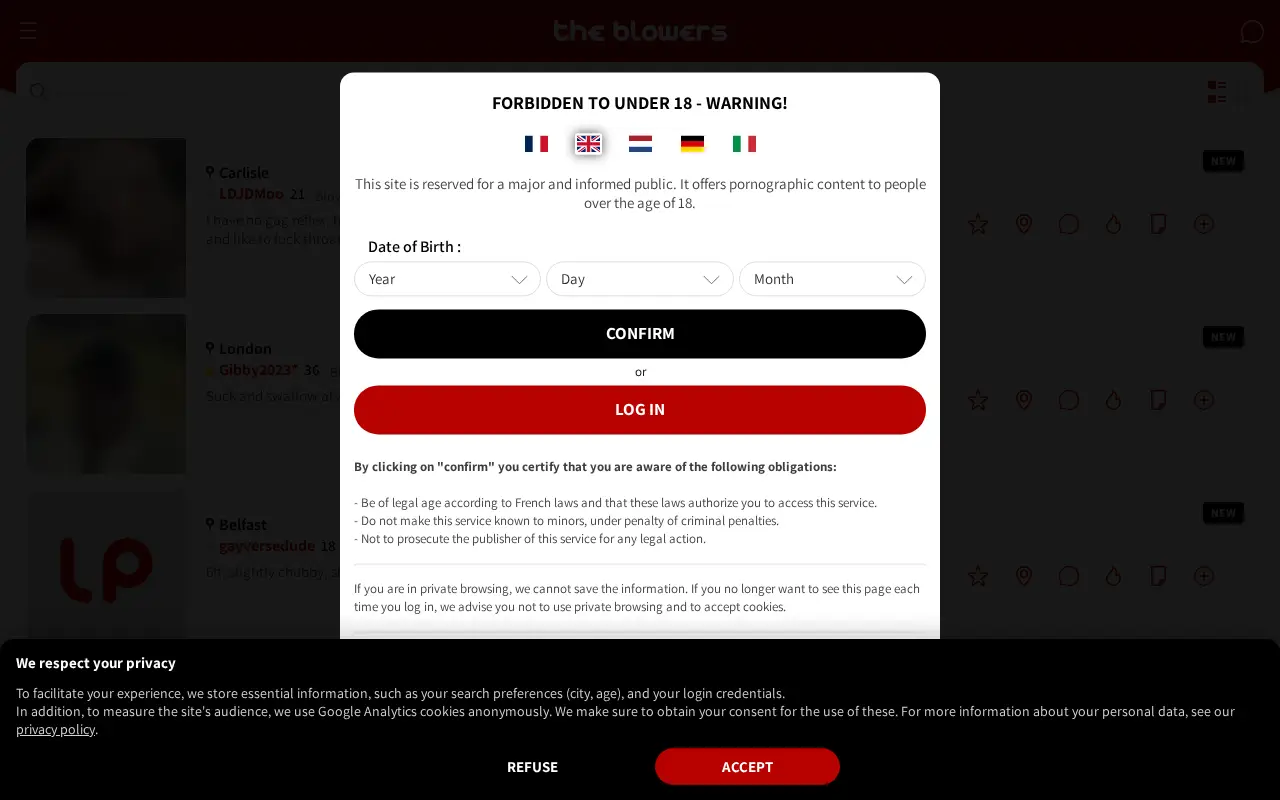 theblowers.com in 2023