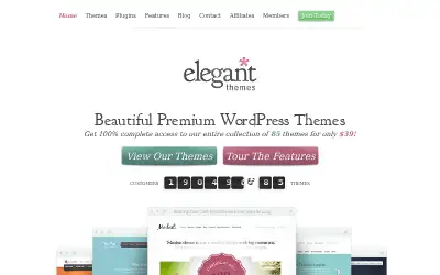 elegantthemes.com in 2013