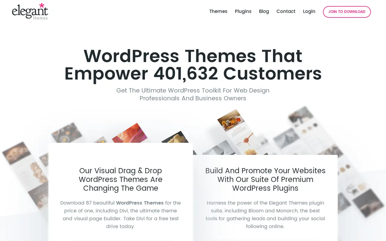 elegantthemes.com in 2017