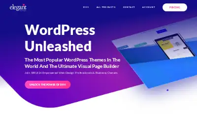 elegantthemes.com in 2019