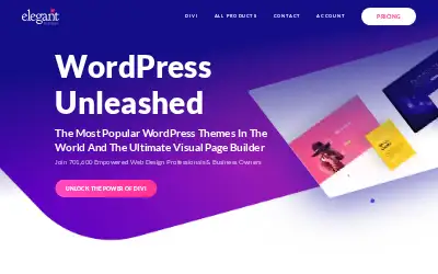 elegantthemes.com in 2020