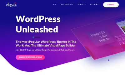 elegantthemes.com in 2022