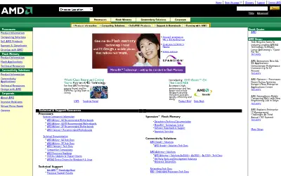 amd.com in 2004
