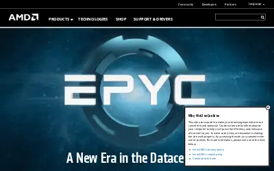 amd.com in 2017