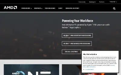 amd.com in 2018