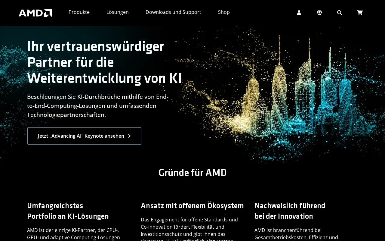 amd.com in 2025