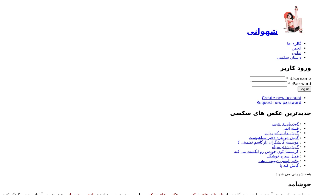 shahvani.com in 2009