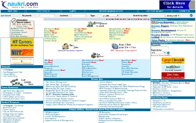 naukri.com in 2002