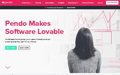 pendo.io in 2019