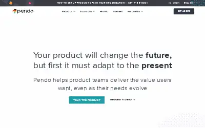 pendo.io in 2020
