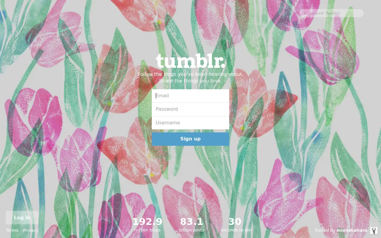 tumblr.com in 2014